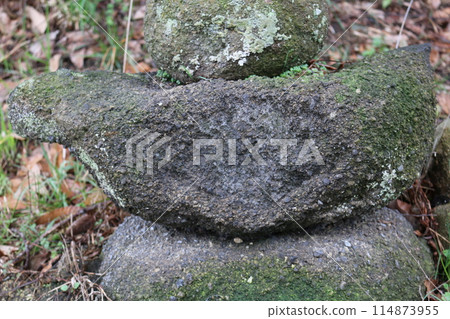 Petrographs from Utazu Town, Kagawa Prefecture 114873955