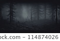 A mysterious forest with tall trees in dense fog, creating an eerie setting 114874026