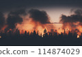 A wildfire in a forest at sunset with smoke clouds, depicting a dramatic natural disaster scene 114874029
