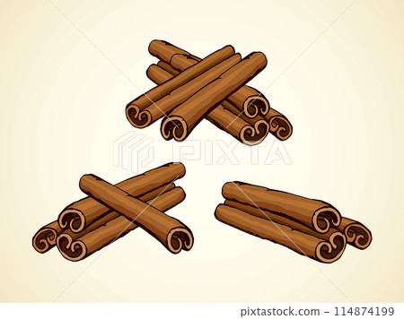 Cinnamon. Vector drawing 114874199