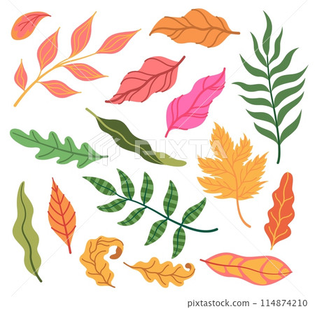 Leaves colorful. Abstract tropical botanical isolated elements, pink and orange foliage. Simple decor. Minimal garden, soring summer season trendy decoration cartoon flat doodle style illustration 114874210