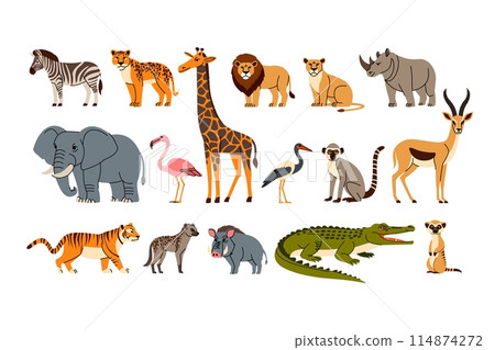 Animal jungle. Cartoon elephant, zebra and rhino. Savanna african cute bird, buffalo, wild meerkat. Flat style zoo fauna. Savannah cheetah, rhinoceros and crane, giraffe and lion. Vector isolated set Animal jungle. Cartoon elephant, zebra and rhino. Savanna african cute bird, buffalo, wild meerkat. Flat style zoo fauna. Savannah cheetah, rhinoceros and crane, giraffe and lion. Vector isolated set 114874272