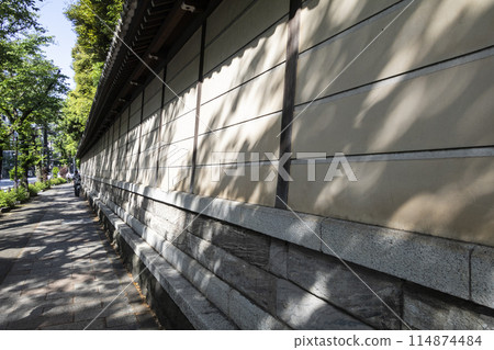 Landscape with fence Landscape with fence 114874484