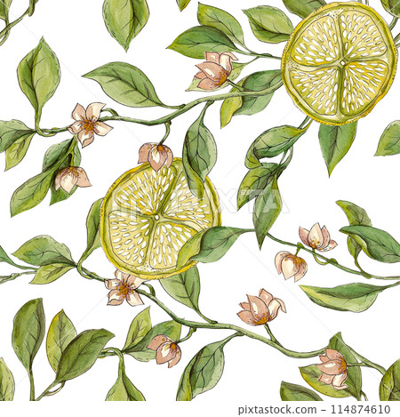 Organic seamless pattern of leaves and flowers. Artistic nature background. Lemon tree and ripe fruits. Creative design. Botanical watercolor illustration. Ideal for pillows, kitchen posters, napkins Organic seamless pattern of leaves and flowers. Artistic nature background. Lemon tree and ripe fruits. Creative design. Botanical watercolor illustration. Ideal for pillows, kitchen posters, napkins 114874610
