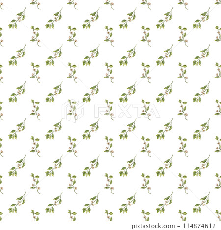 Organic seamless pattern of leaf sprigs with flowers. Nature art print. Hand drawn background. Creative design. Botanical watercolor illustration Organic seamless pattern of leaf sprigs with flowers. Nature art print. Hand drawn background. Creative design. Botanical watercolor illustration 114874612