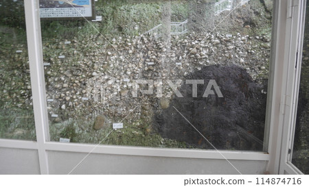 Shell mounds Shell mounds 114874716