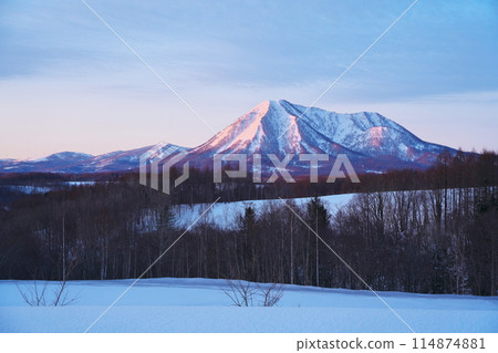 冬季，從北海道虻田郡京極町菩日之丘眺望沐浴在朝陽下的尻別山 114874881