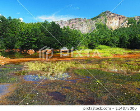 夏天的磐梯山/堂沼 夏天的磐梯山/堂沼 114875000