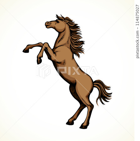 Horse began to buck. Vector drawing Horse began to buck. Vector drawing 114875027