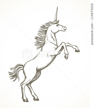 Unicorn. Vector drawing Unicorn. Vector drawing 114875028