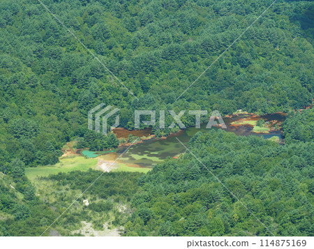 Copper swamp of Bandai mountain 114875169