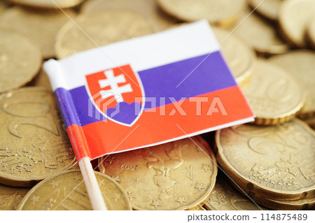 Slovakia flag on coins background, finance and accounting, banking concept. Slovakia flag on coins background, finance and accounting, banking concept. 114875489