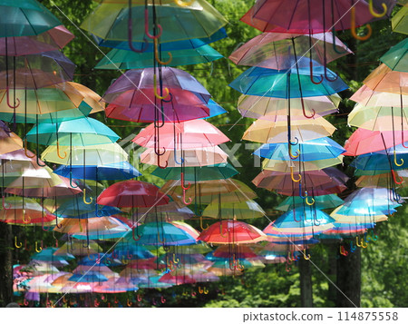 Umbrella Sky Kanra Sogo Park (Kanra DE Umbrella Sky) 114875558