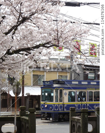 Orient Express train under the cherry blossoms Orient Express train under the cherry blossoms 114876166