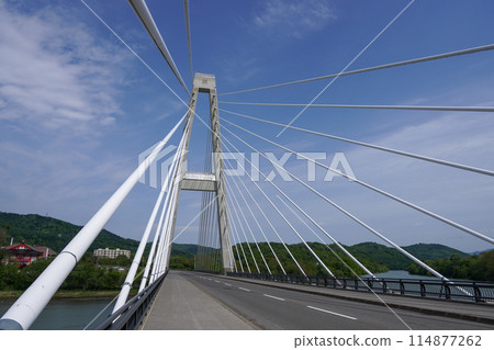 星之古佐藤橋（2跨連續PC斜張橋） 114877262