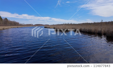 Mer Bleue National conservation area near Ottawa 114877843