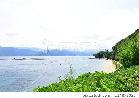 A view of the prefectural road from the center of Tsuruga City, Fukui Prefecture to the Irohama district (Summer 2022) 114878025