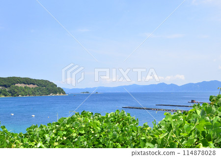 從福井縣敦賀市中心到伊呂濱地區的縣道風景（2022年夏季） 114878028