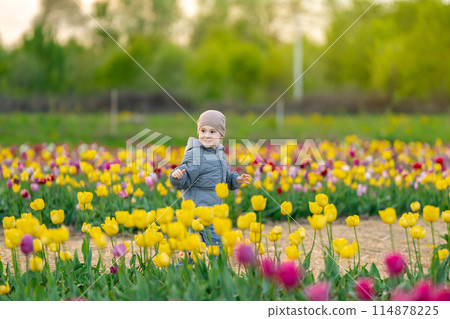 Happy three year old toddler boy runs in a tulip field on a sunny spring day. Childhood and nature concept 114878225
