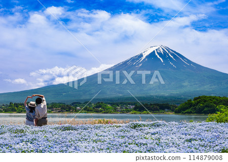 富士山之戀 富士山之戀 114879008