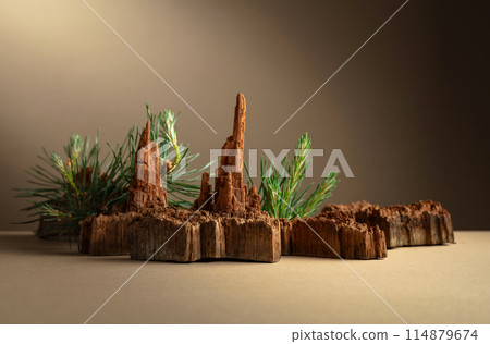 Abstract north nature scene with a composition of pine branches and dry snags. Abstract north nature scene with a composition of pine branches and dry snags. 114879674
