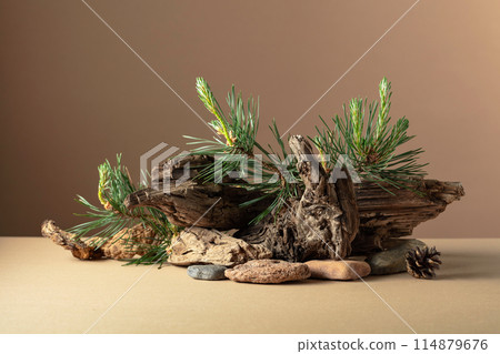 Abstract north nature scene with a composition of pine branches, stones, and dry snags. 114879676