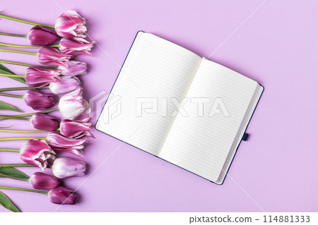 Open paper notebook with empty page with purple and white tulips on purple background. Top view, flat lay, work space on purple background. 114881333