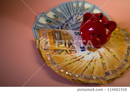 The piggy bank stands on money The piggy bank stands on money 114881508