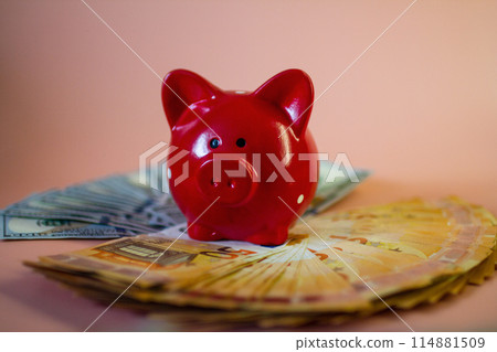 The piggy bank stands on money 114881509