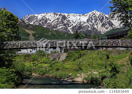 Fresh green Hakuba village 114881649