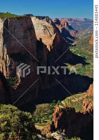 Stunning Zion National Park 114883445
