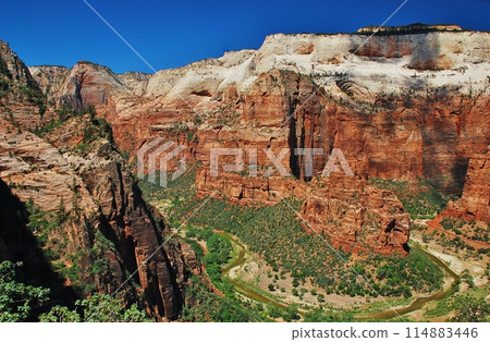 Stunning Zion National Park 114883446