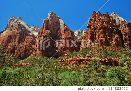 Stunning Zion National Park Stunning Zion National Park 114883452