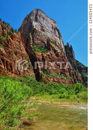 Stunning Zion National Park 114883453
