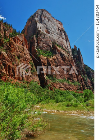 Stunning Zion National Park 114883454