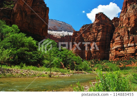 Stunning Zion National Park 114883455