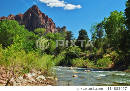 Stunning Zion National Park 114883457
