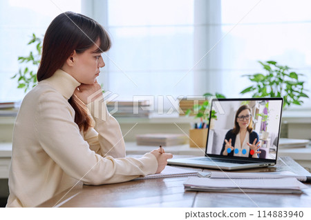 Young female college student having an online lesson, looking at laptop screen 114883940