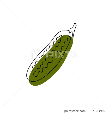 Zucchini vegetable in continuous line art style Zucchini vegetable in continuous line art style 114883992