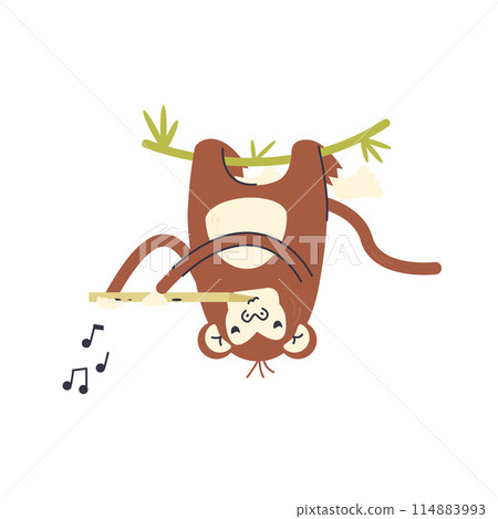 Chimp hanging on vine and playing music on flute Chimp hanging on vine and playing music on flute 114883993