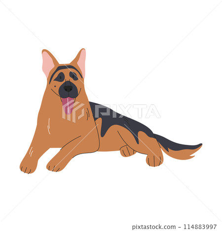 Cute lying adult german shepard with tongue out Cute lying adult german shepard with tongue out 114883997