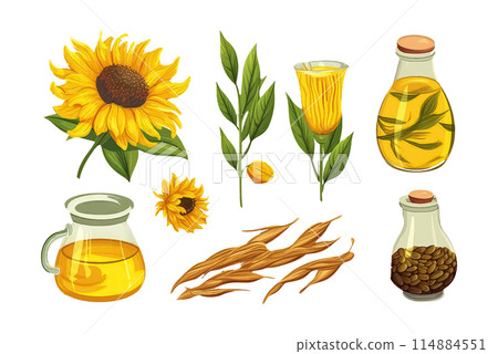 set sunflower oil in cartoon style for video game isolated on white background 114884551