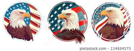 set vector illustration of cute strong eagle against american style isolate on white set vector illustration of cute strong eagle against american style isolate on white 114884573