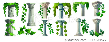 set vector illustration of antic arch with green leaves and plant isolate on white 114884577