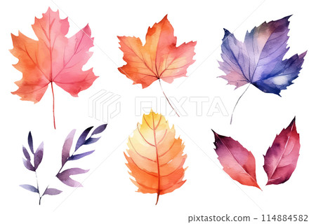 Watercolor set of beautiful colorful autumn leaves 114884582