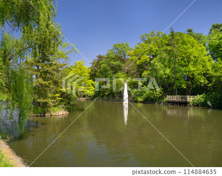 Shakujii Park, Shakujii Pond, Tokyo 114884635