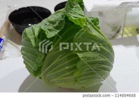 Large fresh cabbage 114884688
