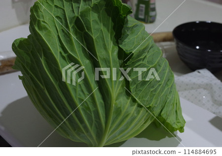 大新鮮高麗菜 大新鮮高麗菜 114884695