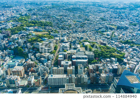 (Kanagawa Prefecture) View of Yokohama cityscape from Yokohama Landmark Tower 114884940