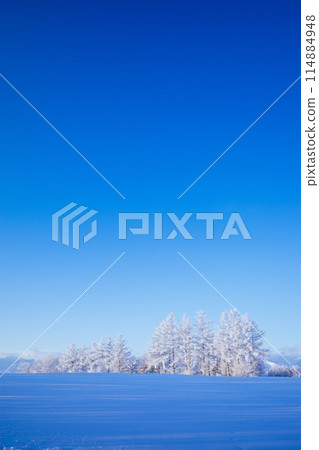 Rime and blue sky Rime and blue sky 114884948